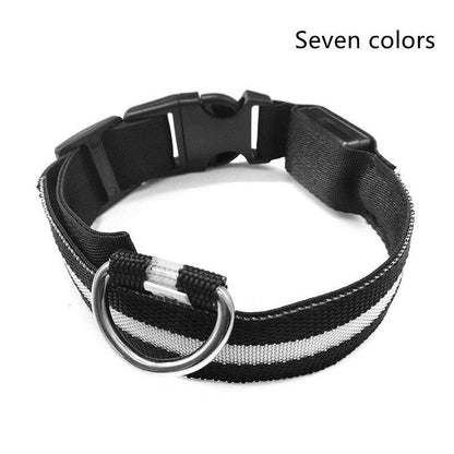 Luminous Glow-In-The-Dark Led Pet Collar: The Ultimate Night Safety Accessory For Dogs And Cats-9
