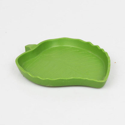 Leafy Reptile Feeding And Water Basin
