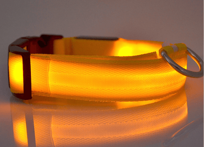 Luminous Glow-In-The-Dark Led Pet Collar: The Ultimate Night Safety Accessory For Dogs And Cats-6