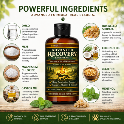 Advanced Recovery Liniment for Horses, Dogs & Active Animals | Veterinary Liniment Gel | DMSO, MSM, Magnesium & Castor Oil Liniment for Joint & Muscle Pain
