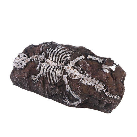 Resin Fossil Aquarium Ornament for Fish Tanks