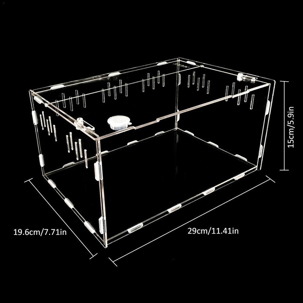 Reptile Haven: Crystal Clear Breeding Box For Your Beloved Pets