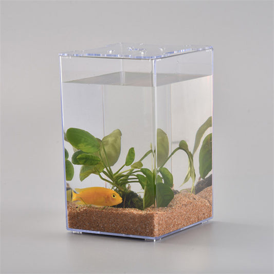 Desktop Creative Fish Tank Acrylic Transparent Plastic Fish Box Simple Ecological Tank