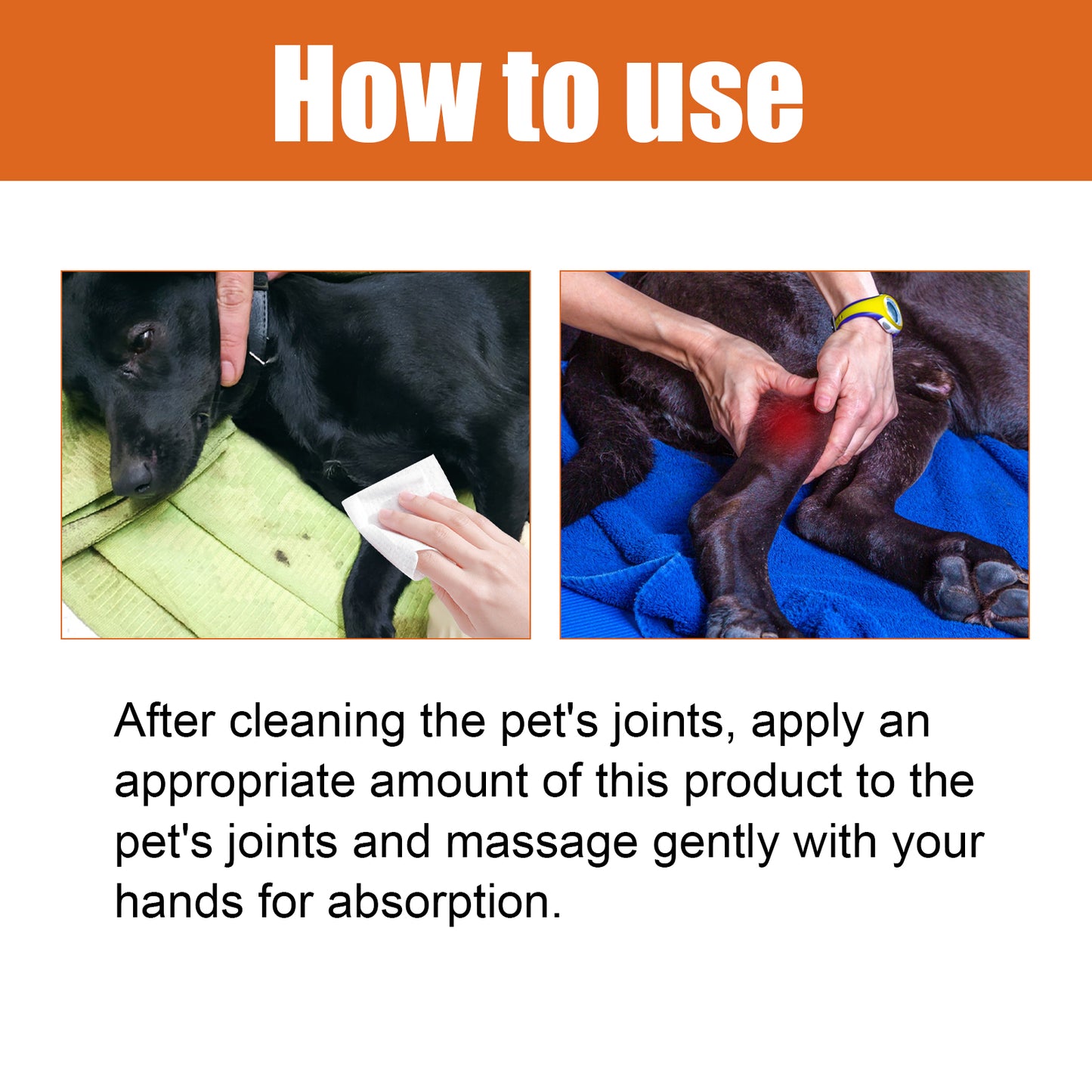 Pet Bee Venom Oil, Joint Care For Cats And Dogs Relieves Joint Pain For Pets Pet Care Water