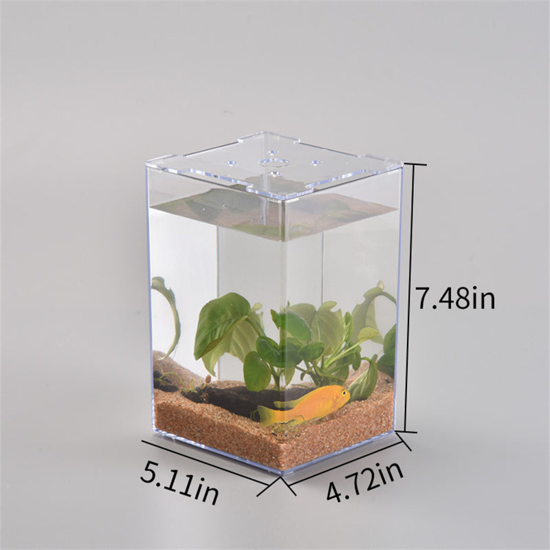Desktop Creative Fish Tank Acrylic Transparent Plastic Fish Box Simple Ecological Tank