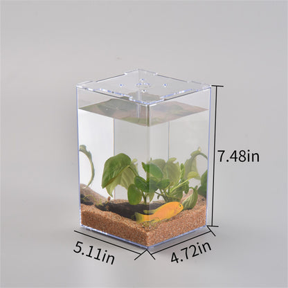 Desktop Creative Fish Tank Acrylic Transparent Plastic Fish Box Simple Ecological Tank
