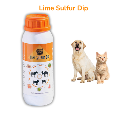 Skin & Coat Care Combo - Lime Sulfur Dip  and Sulfur Dog Shampoo