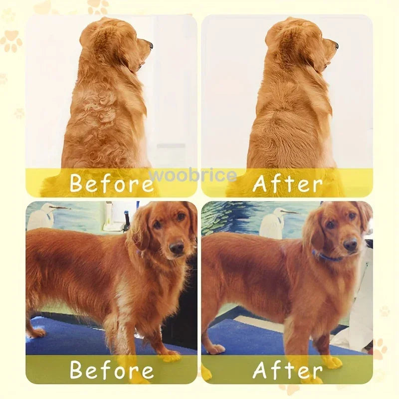 Steam Pet Grooming Brush Comb – Gentle Detangling Tool