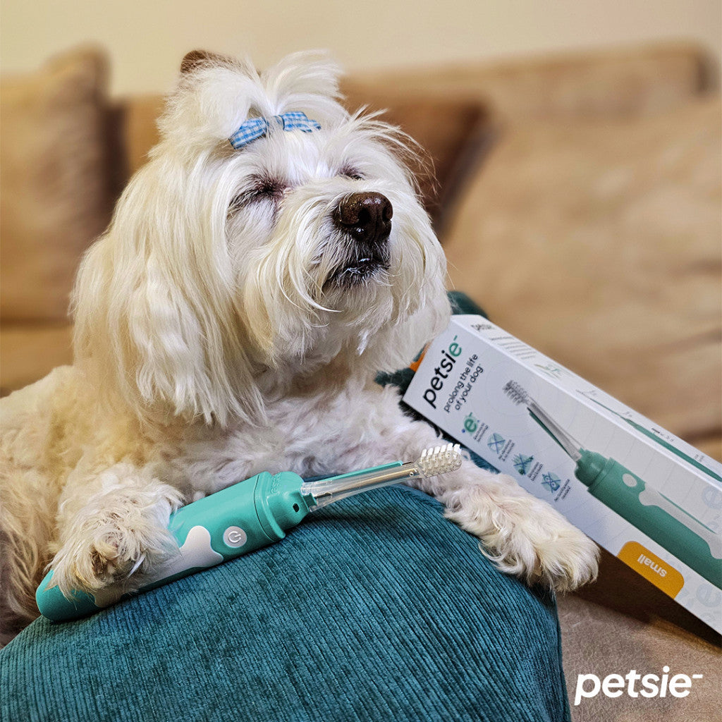 Petsie dog toothbrush (size L 20+kg)-5