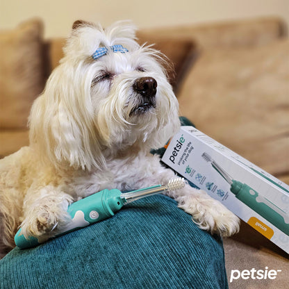 Petsie dog toothbrush (size L 20+kg)-5